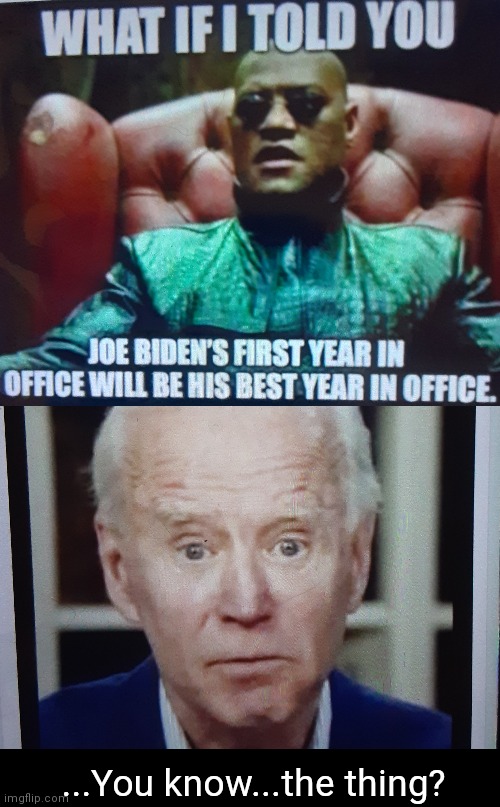 First year best for Biden | ...You know...the thing? | image tagged in black box | made w/ Imgflip meme maker