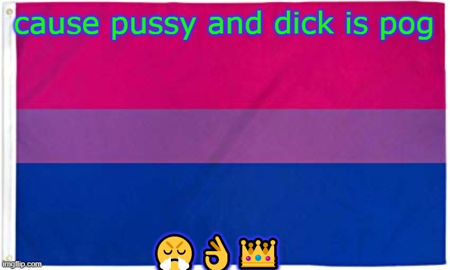 Bisexual Flag | cause pussy and dick is pog ??? | image tagged in bisexual flag | made w/ Imgflip meme maker
