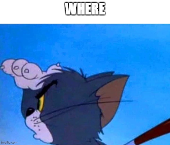 Tom looking for something | WHERE | image tagged in tom looking for something | made w/ Imgflip meme maker