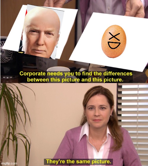 Egg | image tagged in memes,they're the same picture | made w/ Imgflip meme maker