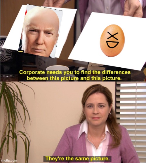 They're The Same Picture | image tagged in memes,they're the same picture | made w/ Imgflip meme maker