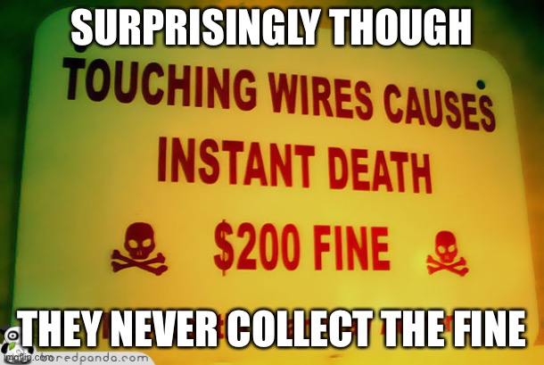 SURPRISINGLY THOUGH; THEY NEVER COLLECT THE FINE | image tagged in what | made w/ Imgflip meme maker