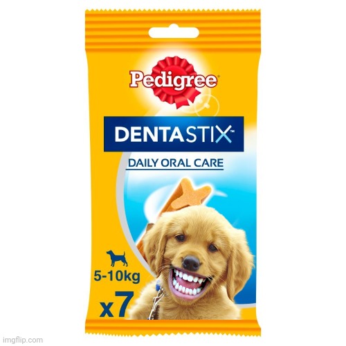 They really work! | image tagged in funny dogs,funny dog memes,dental,funny,lol | made w/ Imgflip meme maker