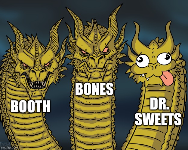 the 3 B's | BONES; DR. SWEETS; BOOTH | image tagged in king ghidorah | made w/ Imgflip meme maker