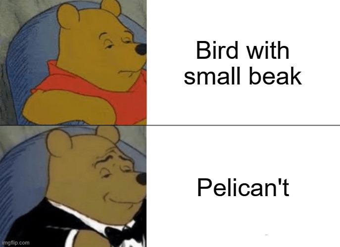 Tuxedo Winnie The Pooh | Bird with small beak; Pelican't | image tagged in memes,tuxedo winnie the pooh,birds,memenade,get it,bird | made w/ Imgflip meme maker