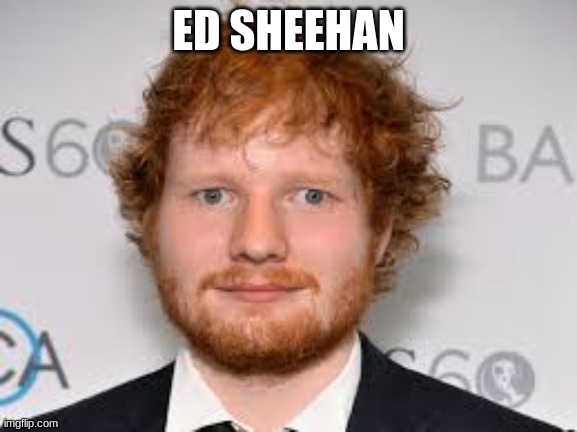 ED SHEEHAN | image tagged in derpy ed sheeran | made w/ Imgflip meme maker