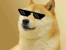 High Quality Doge Blank Meme Template