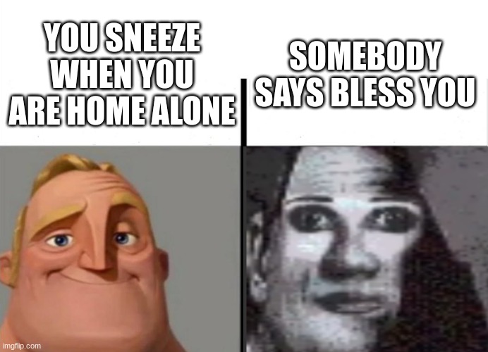 SOMEBODY SAYS BLESS YOU; YOU SNEEZE WHEN YOU ARE HOME ALONE | made w/ Imgflip meme maker