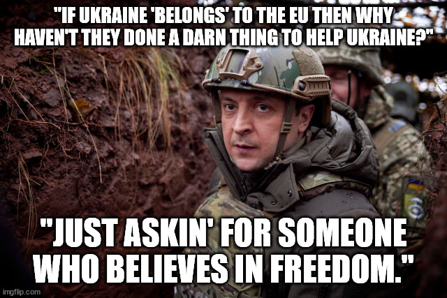 Ukraine President | "IF UKRAINE 'BELONGS' TO THE EU THEN WHY HAVEN'T THEY DONE A DARN THING TO HELP UKRAINE?" "JUST ASKIN' FOR SOMEONE WHO BELIEVES IN FREEDOM." | image tagged in ukraine president | made w/ Imgflip meme maker