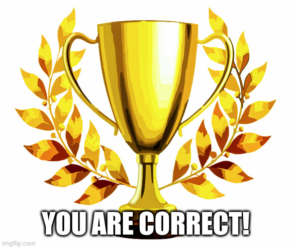 You Win! | YOU ARE CORRECT! | image tagged in you win | made w/ Imgflip meme maker