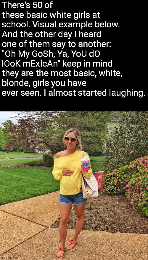 Bruh it was hilarious | There's 50 of these basic white girls at school. Visual example below. And the other day I heard one of them say to another: "Oh My GoSh, Ya, YoU dO lOoK mExIcAn" keep in mind they are the most basic, white, blonde, girls you have ever seen. I almost started laughing. | image tagged in basic,white girls,bruh,smh,middle school | made w/ Imgflip meme maker