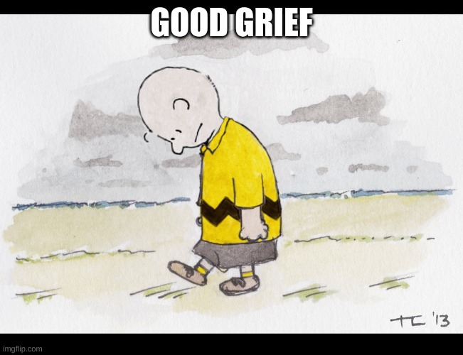 Charlie Brown Sad Walk | GOOD GRIEF | image tagged in charlie brown sad walk | made w/ Imgflip meme maker