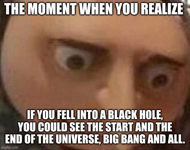 The moment when you realize | THE MOMENT WHEN YOU REALIZE; IF YOU FELL INTO A BLACK HOLE, YOU COULD SEE THE START AND THE END OF THE UNIVERSE, BIG BANG AND ALL. | image tagged in gru meme | made w/ Imgflip meme maker