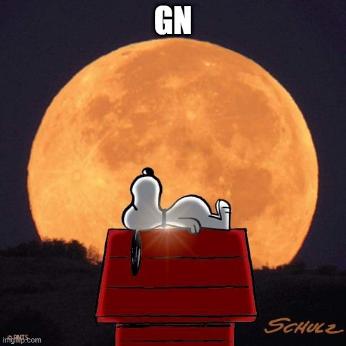 Goodnight | GN | image tagged in goodnight | made w/ Imgflip meme maker