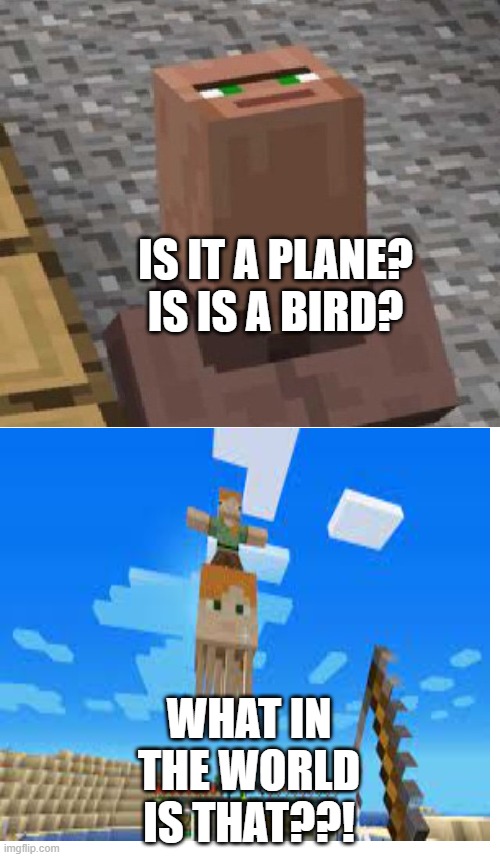 is it a plane? is it a bird? |  IS IT A PLANE? IS IS A BIRD? WHAT IN THE WORLD IS THAT??! | image tagged in minecraft,cursed,minecraft villagers | made w/ Imgflip meme maker