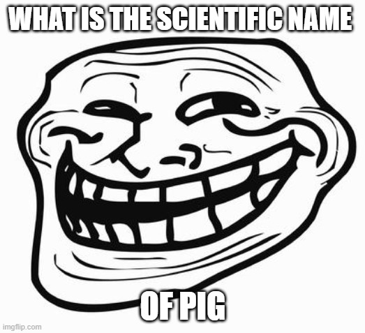 Trollface | WHAT IS THE SCIENTIFIC NAME OF PIG | image tagged in trollface | made w/ Imgflip meme maker