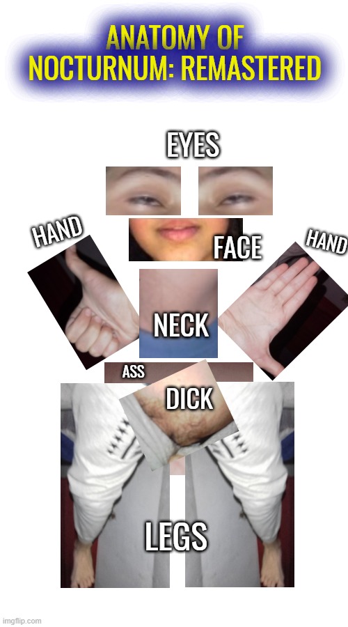 ANATOMY OF NOCTURNUM: REMASTERED; EYES; HAND; HAND; FACE; NECK; ASS; DICK; LEGS | image tagged in blank white template | made w/ Imgflip meme maker