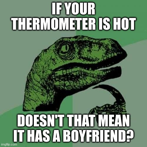 Philosoraptor | IF YOUR THERMOMETER IS HOT; DOESN'T THAT MEAN IT HAS A BOYFRIEND? | image tagged in memes,philosoraptor | made w/ Imgflip meme maker