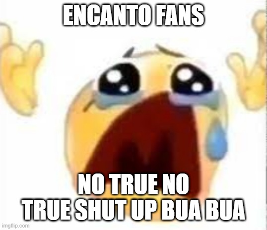 Crying emoji | ENCANTO FANS NO TRUE NO TRUE SHUT UP BUA BUA | image tagged in crying emoji | made w/ Imgflip meme maker