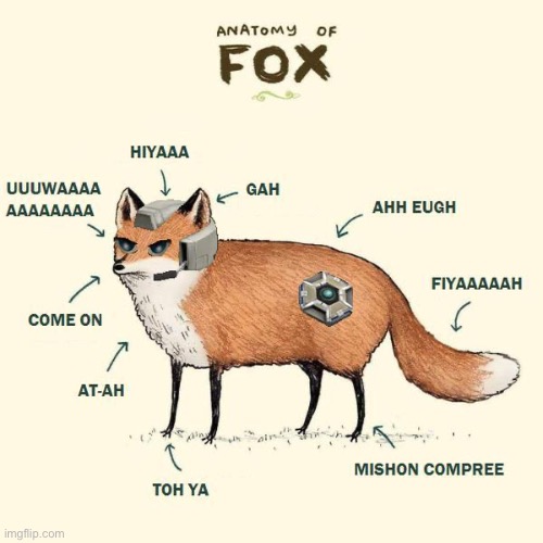 Idk I jus found a bunch of anatomy memes | image tagged in anime | made w/ Imgflip meme maker