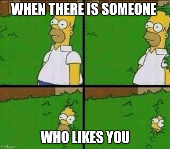 Homer Simpson Nope |  WHEN THERE IS SOMEONE; WHO LIKES YOU | image tagged in homer simpson nope | made w/ Imgflip meme maker