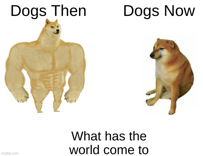 Buff Doge vs. Cheems | Dogs Then; Dogs Now; What has the world come to | image tagged in memes,buff doge vs cheems | made w/ Imgflip meme maker