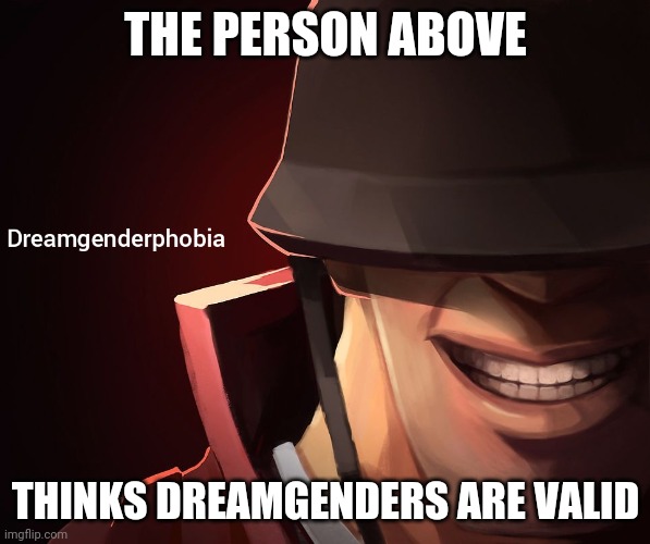 Dreamgenderphobia | THE PERSON ABOVE; THINKS DREAMGENDERS ARE VALID | image tagged in dreamgenderphobia | made w/ Imgflip meme maker