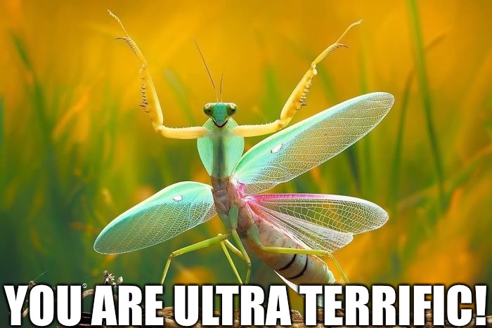 YOU ARE ULTRA TERRIFIC! | made w/ Imgflip meme maker