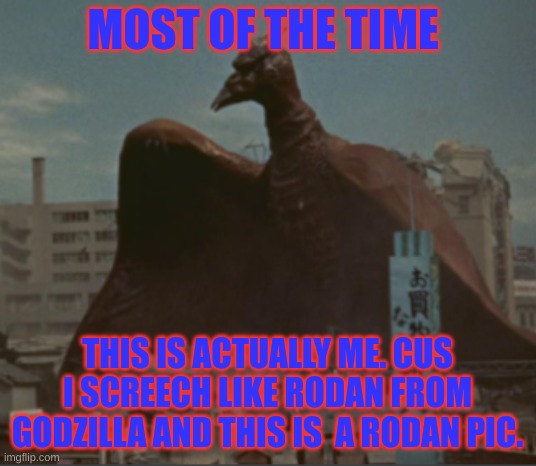 what godzilla kaiju are you | MOST OF THE TIME; THIS IS ACTUALLY ME. CUS I SCREECH LIKE RODAN FROM GODZILLA AND THIS IS  A RODAN PIC. | image tagged in godzilla | made w/ Imgflip meme maker