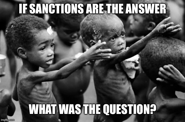 sanctions have workers so well on Yemen, Iran, and South Korea | IF SANCTIONS ARE THE ANSWER; WHAT WAS THE QUESTION? | made w/ Imgflip meme maker