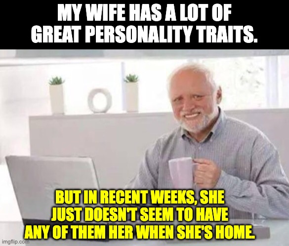 Personality | MY WIFE HAS A LOT OF GREAT PERSONALITY TRAITS. BUT IN RECENT WEEKS, SHE JUST DOESN'T SEEM TO HAVE ANY OF THEM HER WHEN SHE'S HOME. | image tagged in harold | made w/ Imgflip meme maker