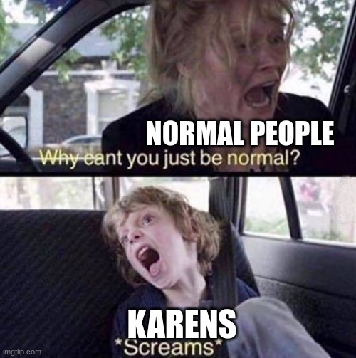 Why Can't You Just Be Normal | NORMAL PEOPLE; KARENS | image tagged in why can't you just be normal | made w/ Imgflip meme maker
