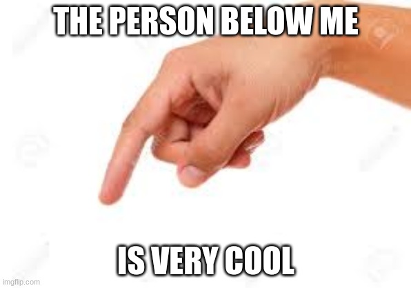 Creative title | THE PERSON BELOW ME; IS VERY COOL | image tagged in the person below | made w/ Imgflip meme maker