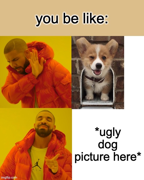 Drake Hotline Bling Meme | you be like: *ugly dog picture here* | image tagged in memes,drake hotline bling | made w/ Imgflip meme maker