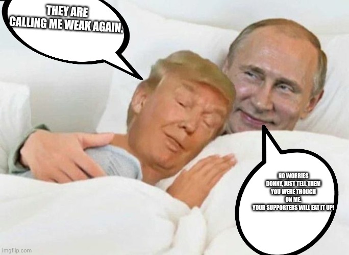 Tough Donny | THEY ARE CALLING ME WEAK AGAIN. NO WORRIES DONNY, JUST TELL THEM YOU WERE THOUGH ON ME.
YOUR SUPPORTERS WILL EAT IT UP! | image tagged in conservative,russia,ukraine,putin,trump,biden | made w/ Imgflip meme maker