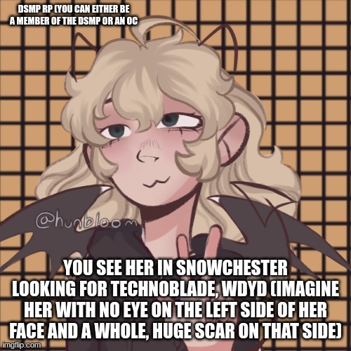 (you can either rp as real members or ocs) (no joke ocs, op ocs allowed) | DSMP RP (YOU CAN EITHER BE A MEMBER OF THE DSMP OR AN OC; YOU SEE HER IN SNOWCHESTER LOOKING FOR TECHNOBLADE, WDYD (IMAGINE HER WITH NO EYE ON THE LEFT SIDE OF HER FACE AND A WHOLE, HUGE SCAR ON THAT SIDE) | image tagged in dream smp | made w/ Imgflip meme maker