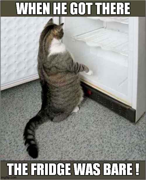 One Hungry Cat ! | WHEN HE GOT THERE; THE FRIDGE WAS BARE ! | image tagged in cats,hungry cat,nursery rhymes | made w/ Imgflip meme maker