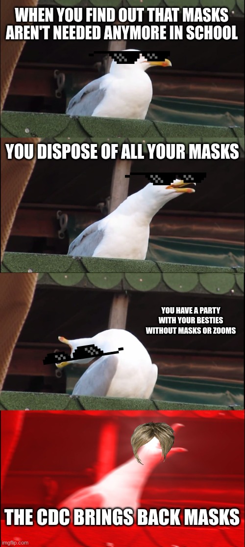 Inhaling Seagull Meme | WHEN YOU FIND OUT THAT MASKS AREN'T NEEDED ANYMORE IN SCHOOL; YOU DISPOSE OF ALL YOUR MASKS; YOU HAVE A PARTY WITH YOUR BESTIES WITHOUT MASKS OR ZOOMS; THE CDC BRINGS BACK MASKS | image tagged in memes,inhaling seagull | made w/ Imgflip meme maker