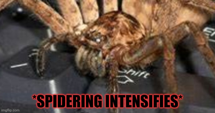 It's under your bed! | *SPIDERING INTENSIFIES* | image tagged in spider,cute animals,nomnomnom | made w/ Imgflip meme maker
