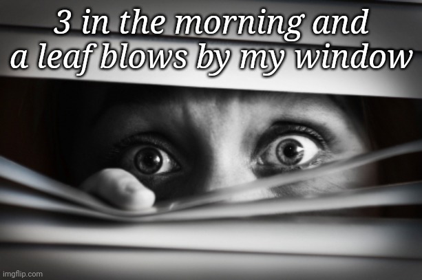 3 in the morning and a leaf blows by my window | made w/ Imgflip meme maker