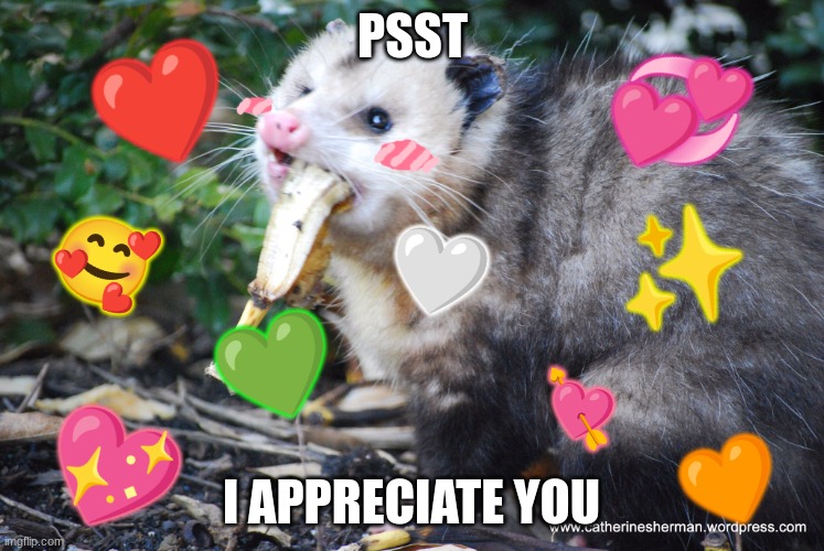 here's a little bit of love to spread, have a nice day everyone <3 | PSST; ❤; 💞; 🥰; ✨; 🤍; 💚; 💘; 💖; 🧡; I APPRECIATE YOU | image tagged in validating love possum | made w/ Imgflip meme maker