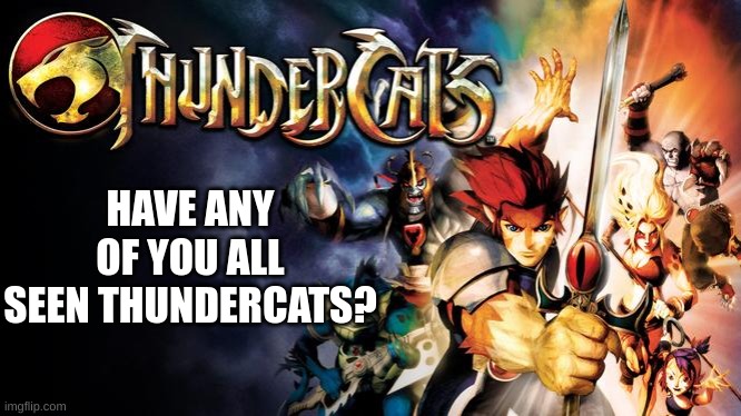 HIGHLY reccomend. | HAVE ANY OF YOU ALL SEEN THUNDERCATS? | made w/ Imgflip meme maker