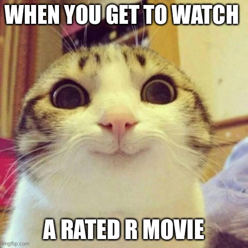 Smiling Cat Meme | WHEN YOU GET TO WATCH; A RATED R MOVIE | image tagged in memes,smiling cat | made w/ Imgflip meme maker