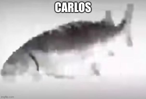 carlos | CARLOS | image tagged in carlos | made w/ Imgflip meme maker