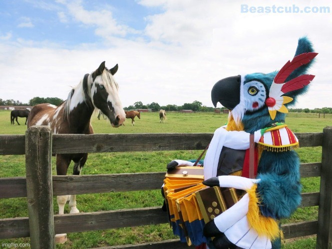 A Kass fursuit!!! I love it! Unknown who it belongs to. | made w/ Imgflip meme maker