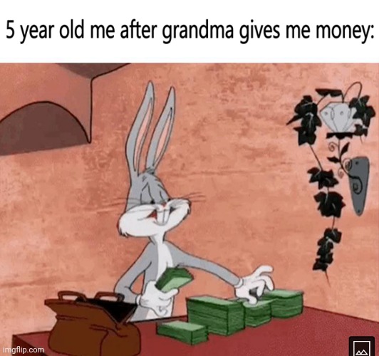 image tagged in money,grandma | made w/ Imgflip meme maker