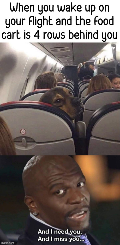 Happens whenever I fly, I miss the snacks. |  When you wake up on your flight and the food cart is 4 rows behind you | image tagged in airplanes,snacks,food,missed the point | made w/ Imgflip meme maker