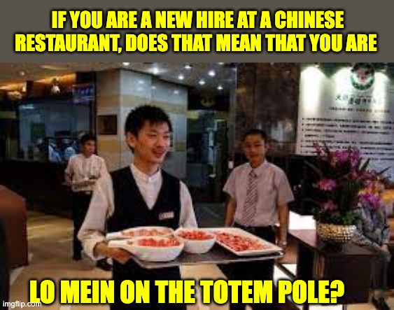 Lo Mein | IF YOU ARE A NEW HIRE AT A CHINESE RESTAURANT, DOES THAT MEAN THAT YOU ARE; LO MEIN ON THE TOTEM POLE? | image tagged in bad pun | made w/ Imgflip meme maker