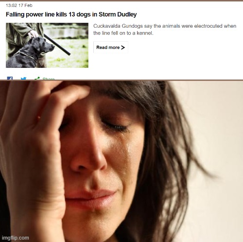 zukini | image tagged in memes,first world problems | made w/ Imgflip meme maker