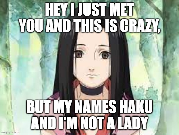 haku lady | HEY I JUST MET YOU AND THIS IS CRAZY, BUT MY NAMES HAKU AND I'M NOT A LADY | image tagged in anime,meme,repost | made w/ Imgflip meme maker